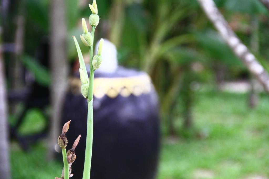 Gloria Angkor Hotel Siem Reap Zewnętrze zdjęcie